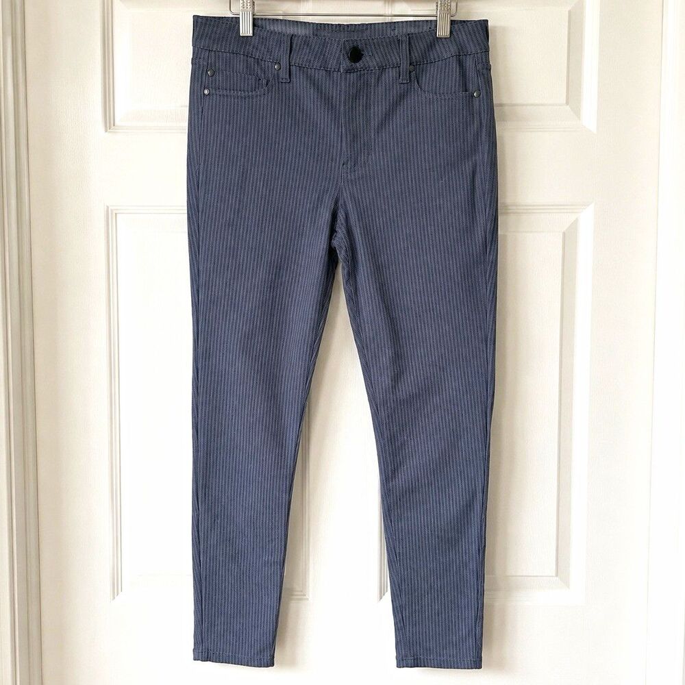 Liverpool Jeans Company Women’s Size 8/29 Gray Striped Skinny Pants Stretch